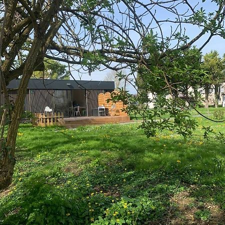 L'Endroit : Studio De Jardin Adapte Pmr 40M2 Aigrefeuille-dʼAunis Εξωτερικό φωτογραφία